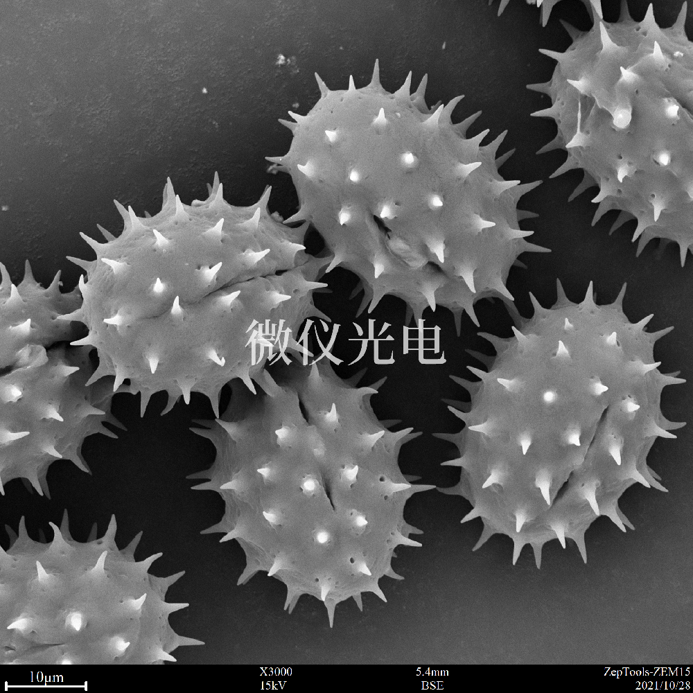 sem掃描電鏡的原理、組成、基本參數(shù)和應(yīng)用的介紹